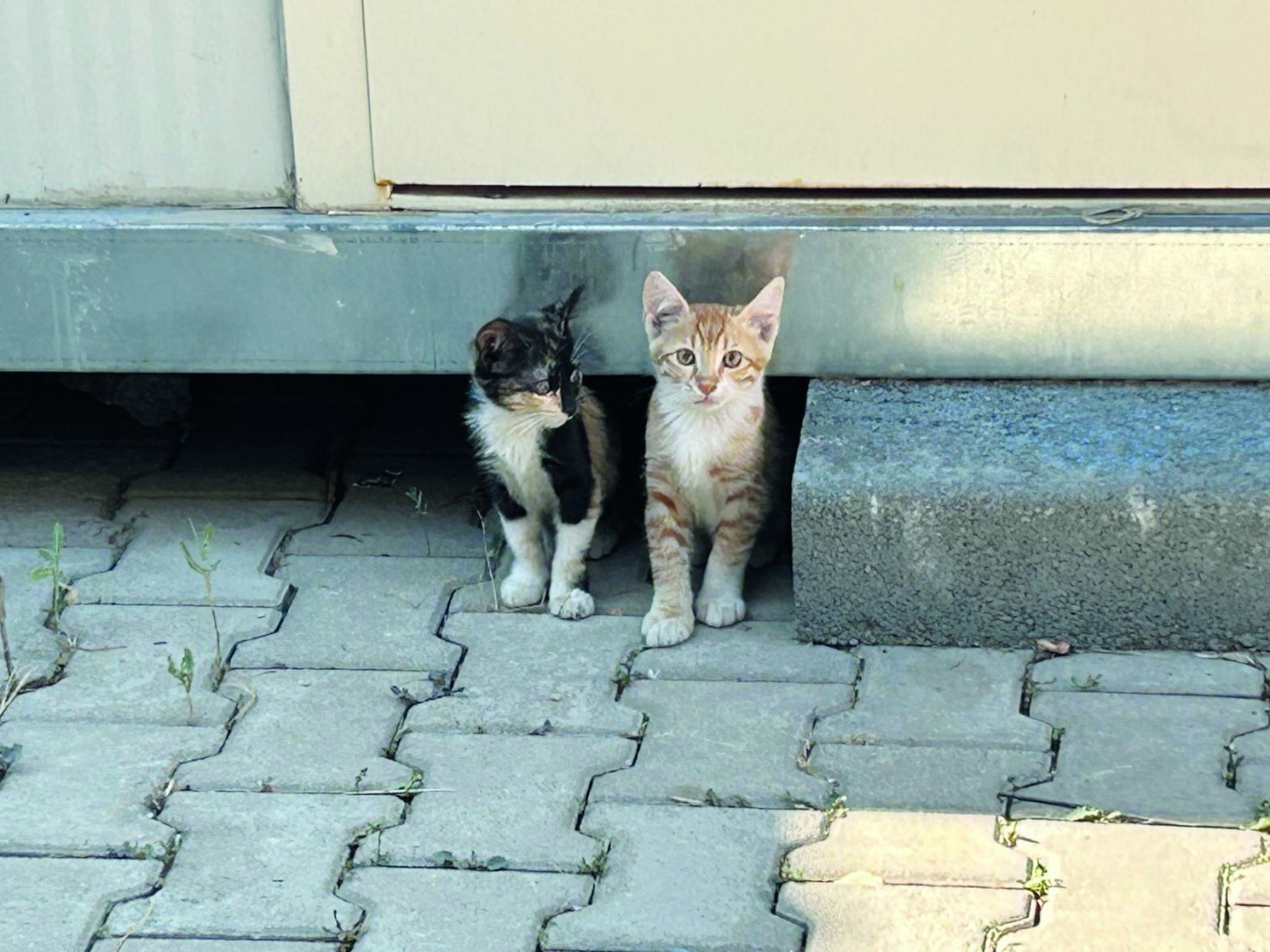 En azından bir kap su