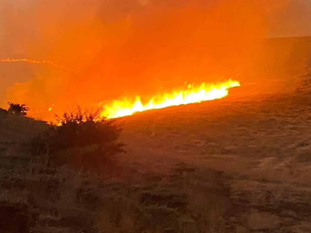 Malatya'da yüzlerce dönüm alanda anız yangını