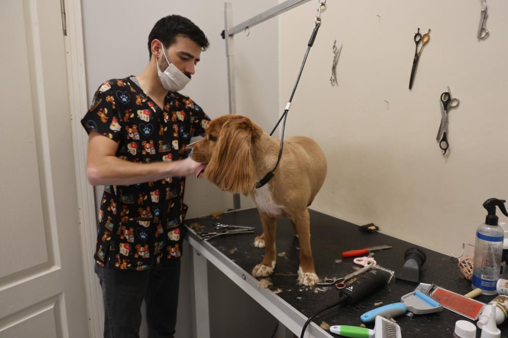 Bu kuaförde sadece köpekler tıraş oluyor
