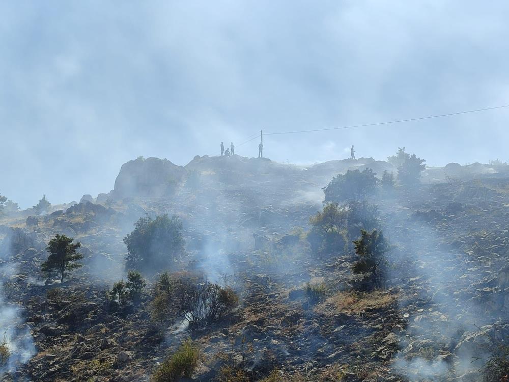 Malatya'da 3 ayrı noktada ot yangını