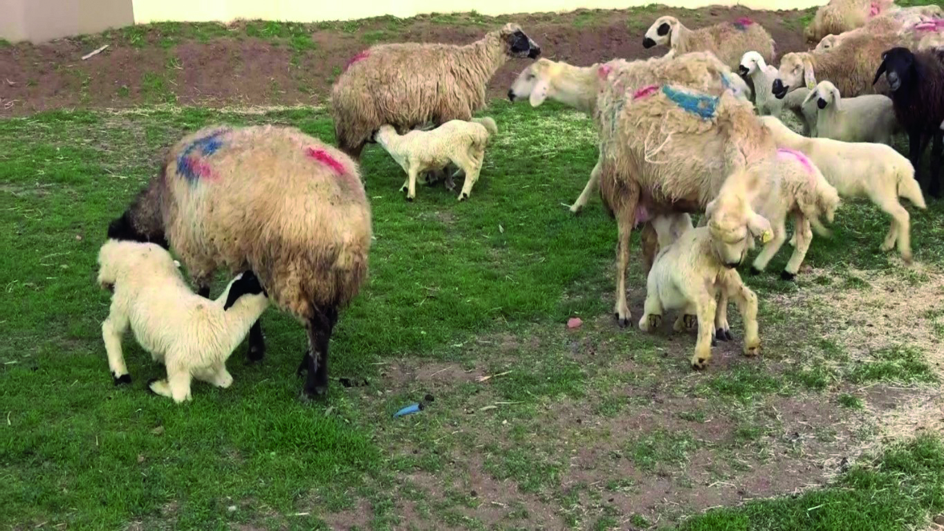 Akın’dan Yeni Destek Modeli Uyarısı
