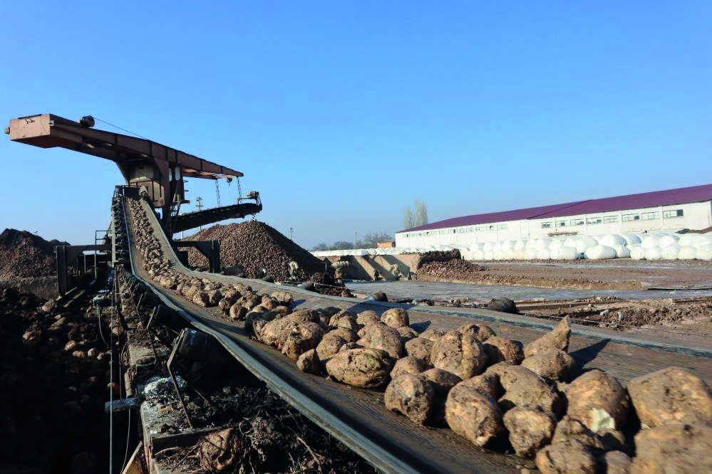 Malatya Şeker Fabrikasından 55 bin ton şeker hedefi