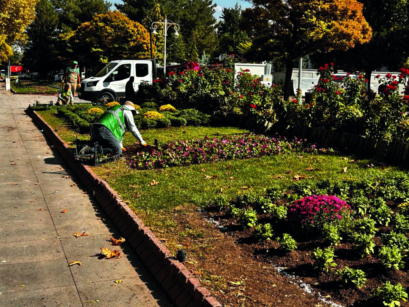 Park ve Bahçelerde Renk Cümbüşü