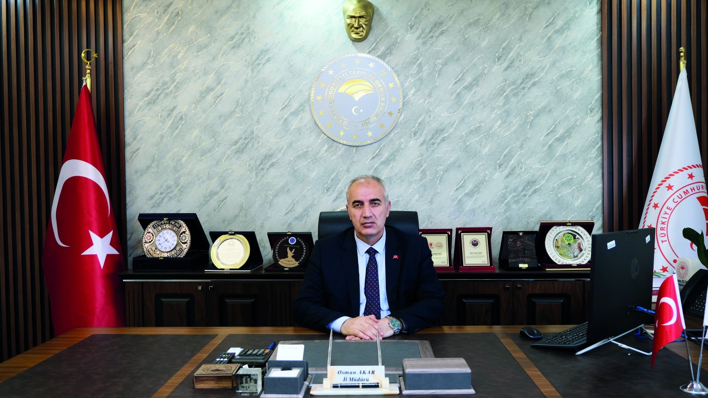 Bordo Bulamacı Bırakıldı, Hastalıklar Arttı