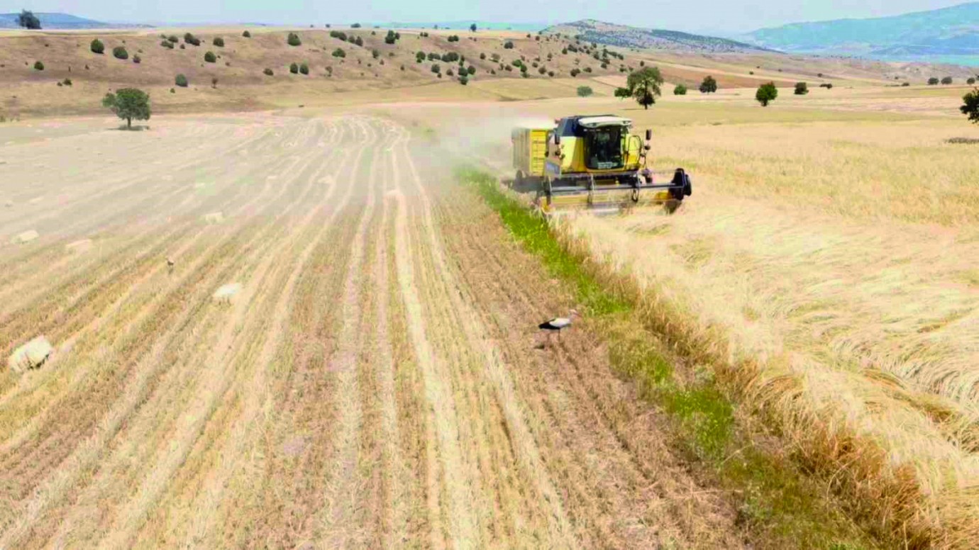 “TARSİM’den hiçbir şekilde memnun kalamadık”
