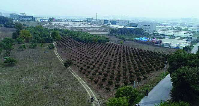 TOKİ Malatya'da Arsa Satacak