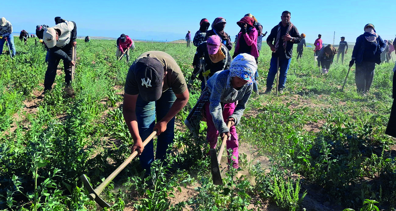 MALATYA’DA ARTIŞ GÖSTERDİ