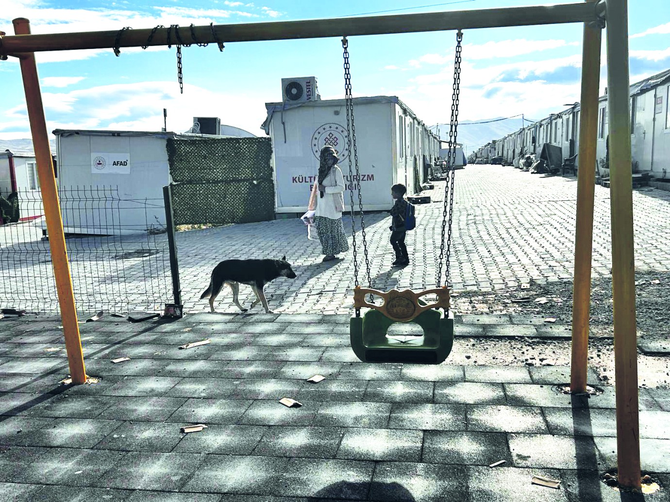 Sokak köpekleri konteyner kente dadandı!
