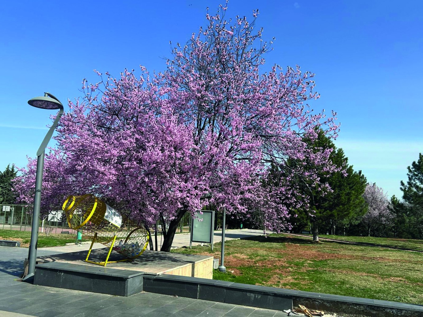 Kampüsten bahar manzaraları