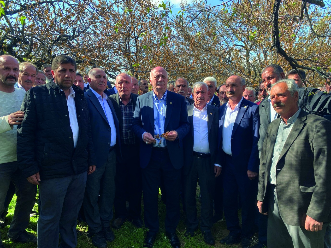 Malatya'da ise 10 milyon civarında kayısı ağacı var