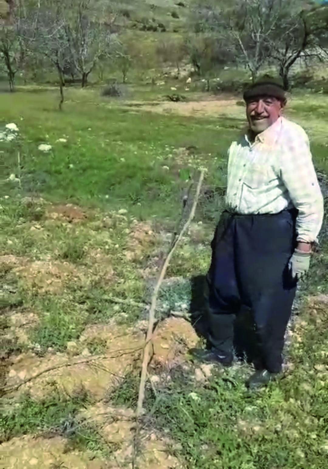Bağ çubuklarını bağlama çalışmaları devam ediyor