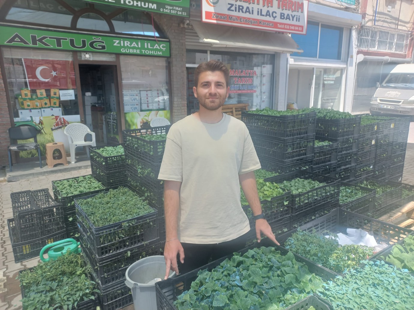 Yaşanan zirai don sedir alıcısını vurdu