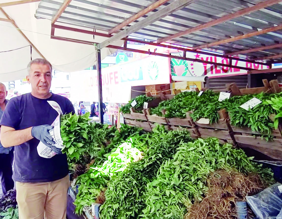 Sedir alımları yarıdan yarıya düştü