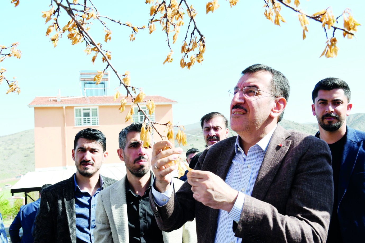 Zirai don destek ödemeleri bayram sonrası hesaplara yatacak