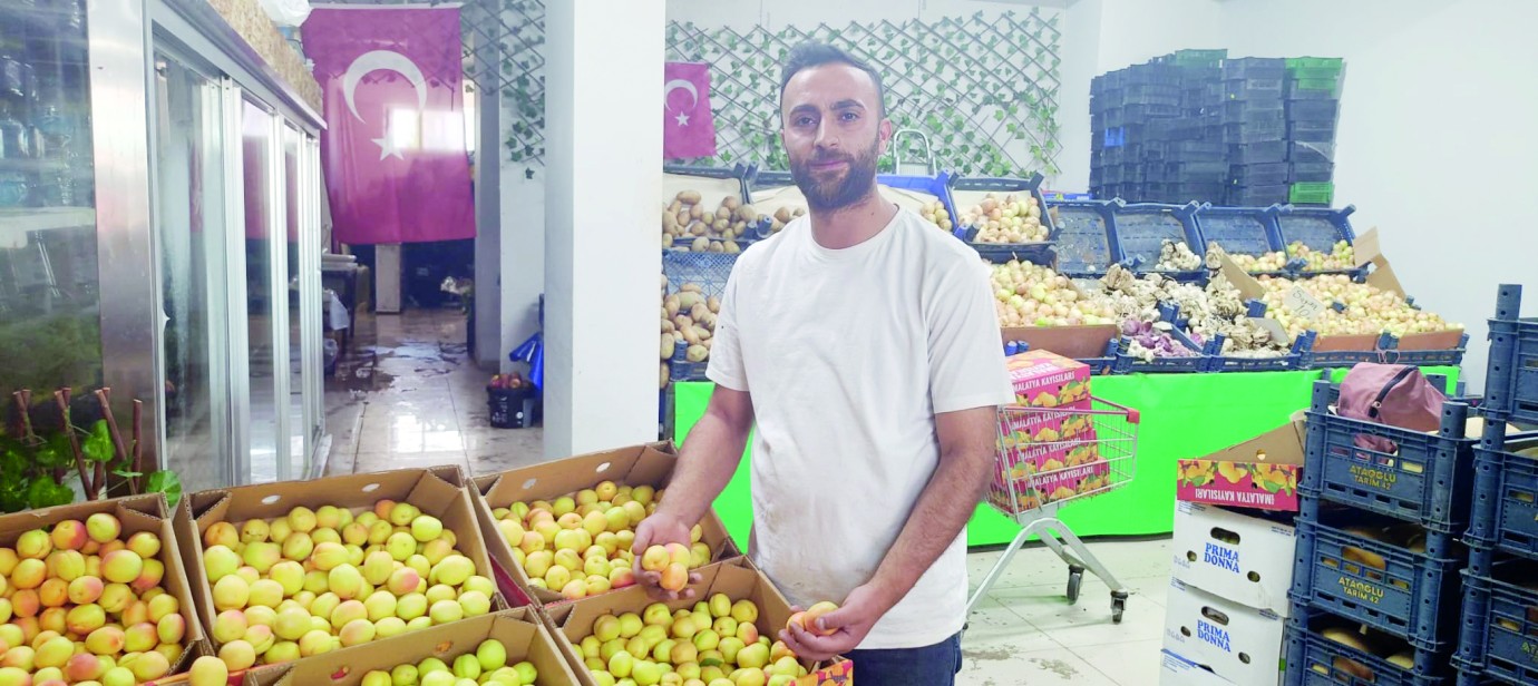Malatyalı kayısı için adeta yarışıyor