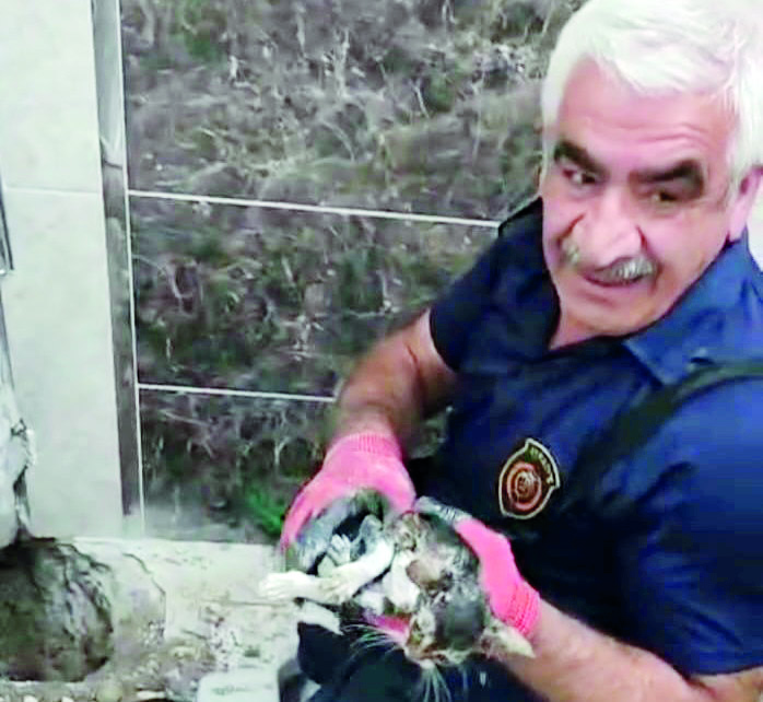 Atık su hattına düşen yavru kedi kurtarıldı