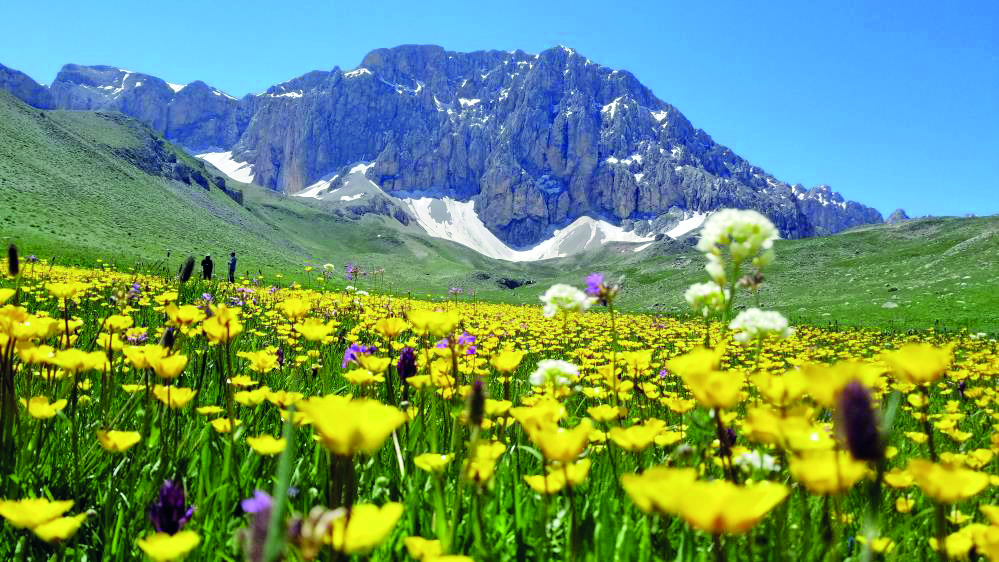 Merg Yaylası, yerli ve yabancı doğaseverlere ev sahipli yapıyor