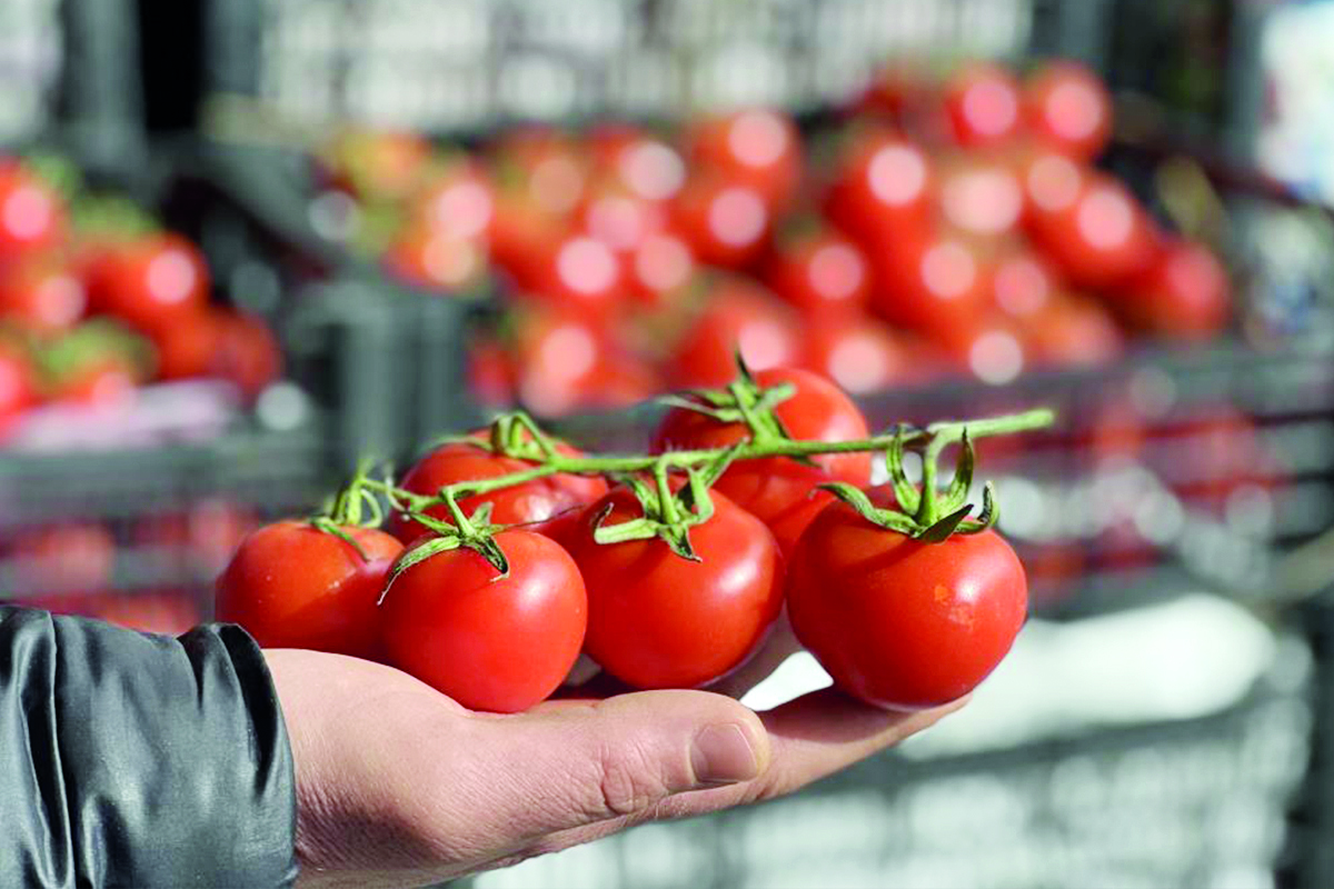Salatanın yıldızı, midenin düşmanı olabilir