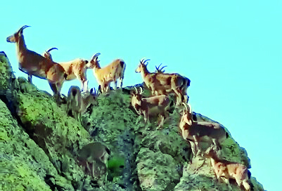 Vali Aydoğdu: Huzurun şehri, Erzincan