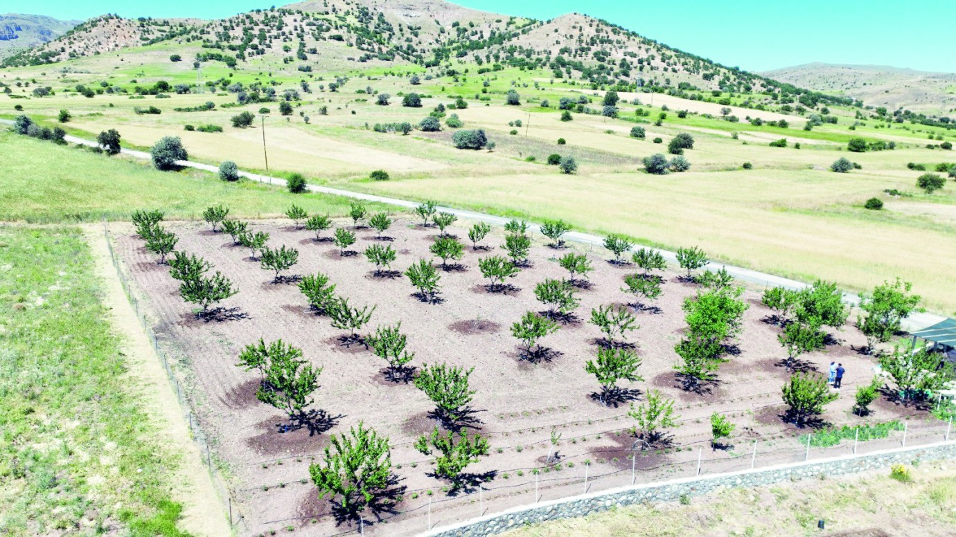 Büyükşehir Belediyesi’nden çiftçilere büyük destek
