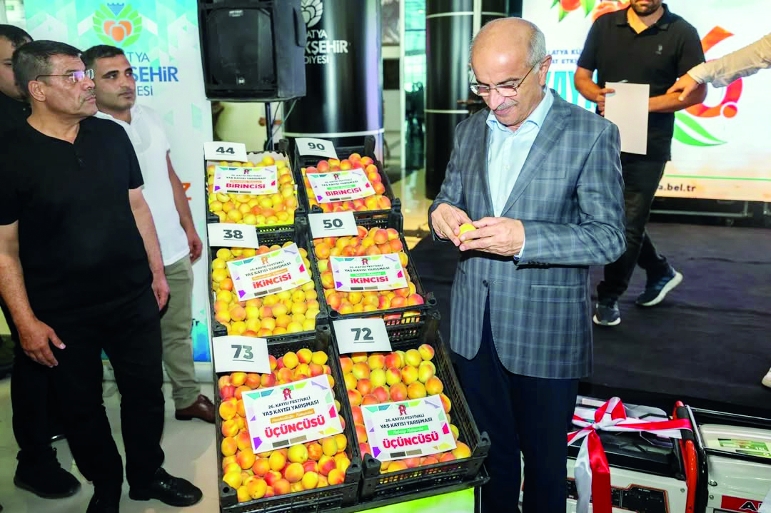 Kayısı Festivali bu yıl 27. kez düzenlenecek