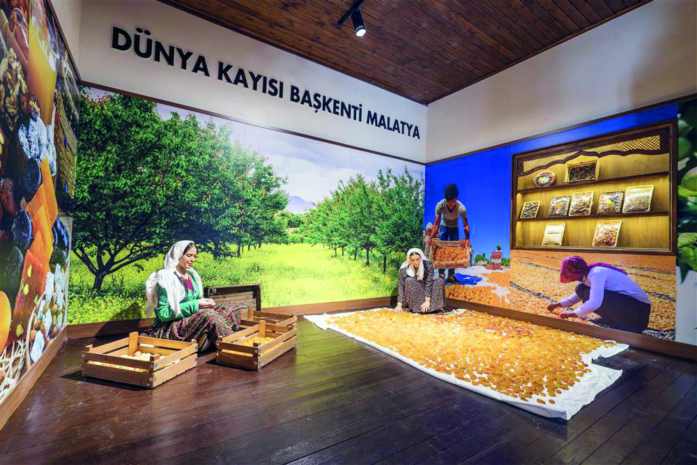 Malatya Kültür Evi, geçmişin izlerini taşıyor