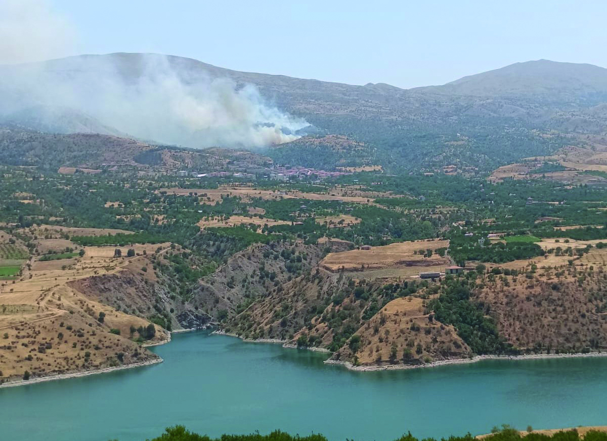 Malatya'da orman yangınına havadan müdahale