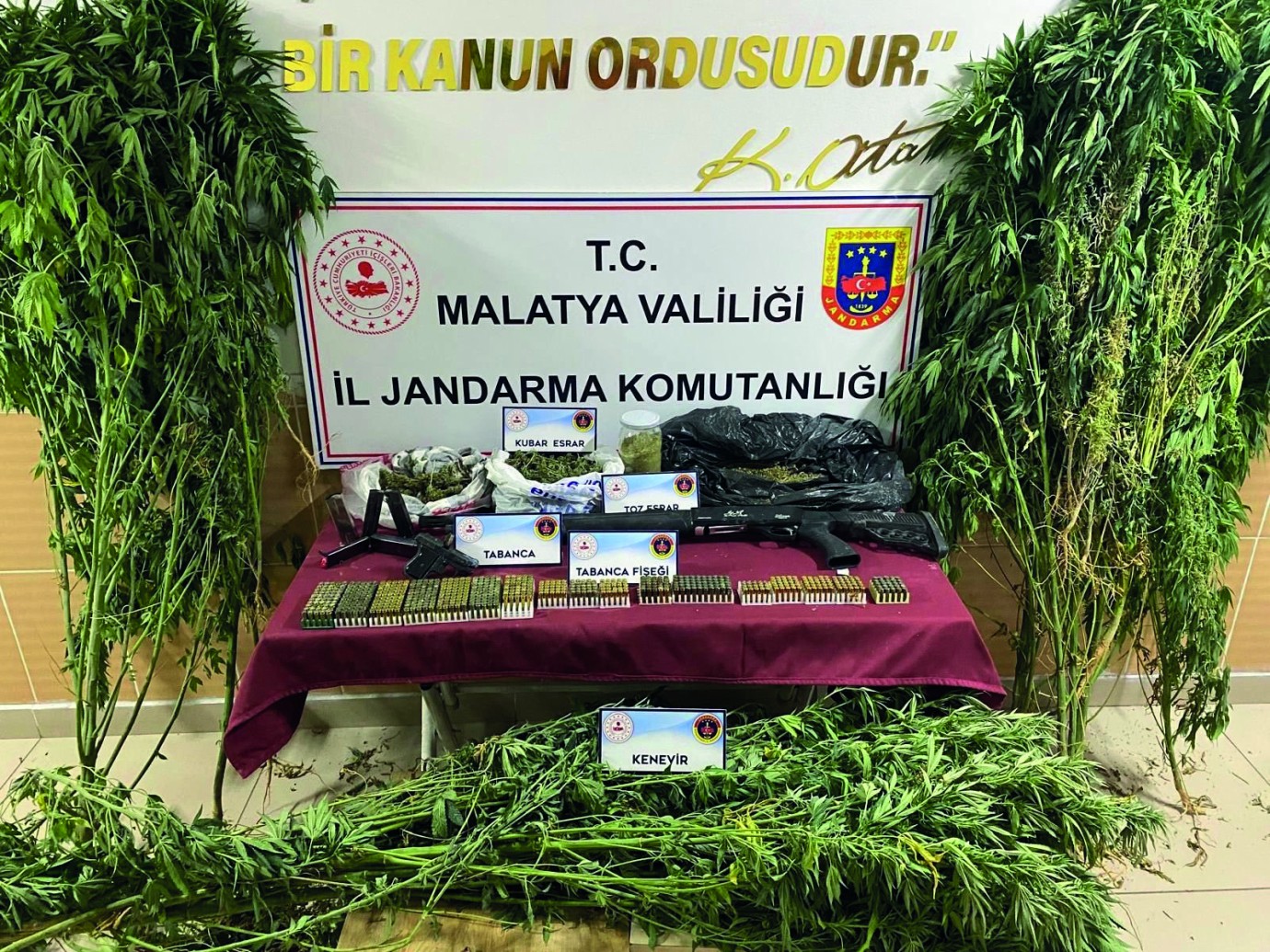 Jandarmadan uyuşturucu operasyonu