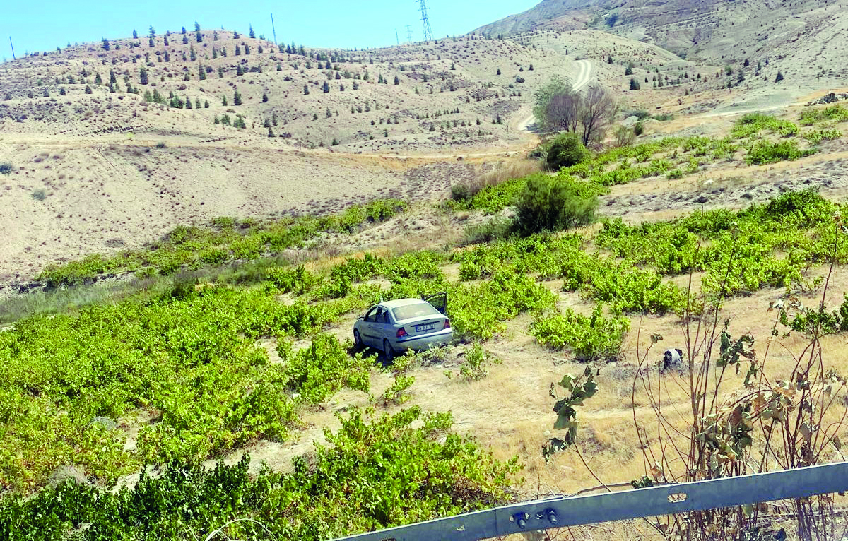 Kontrolden çıkan araç üzüm bağına uçtu