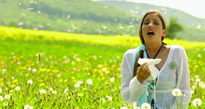 Sonbaharda artan polenler sağlığı tehdit ediyor