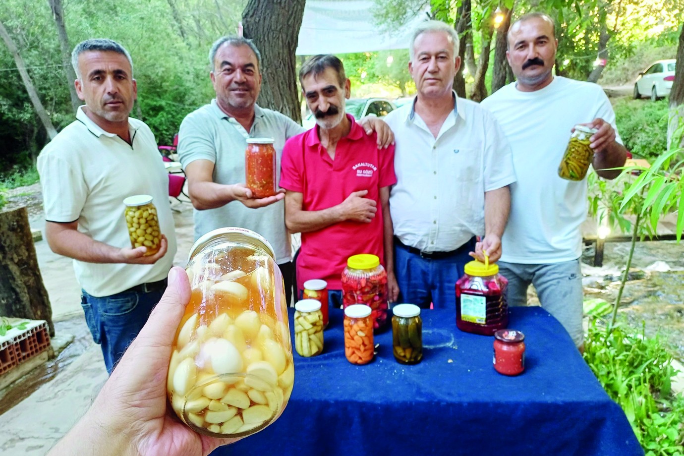 Araban sarımsağı turşu oldu şifa saçıyor