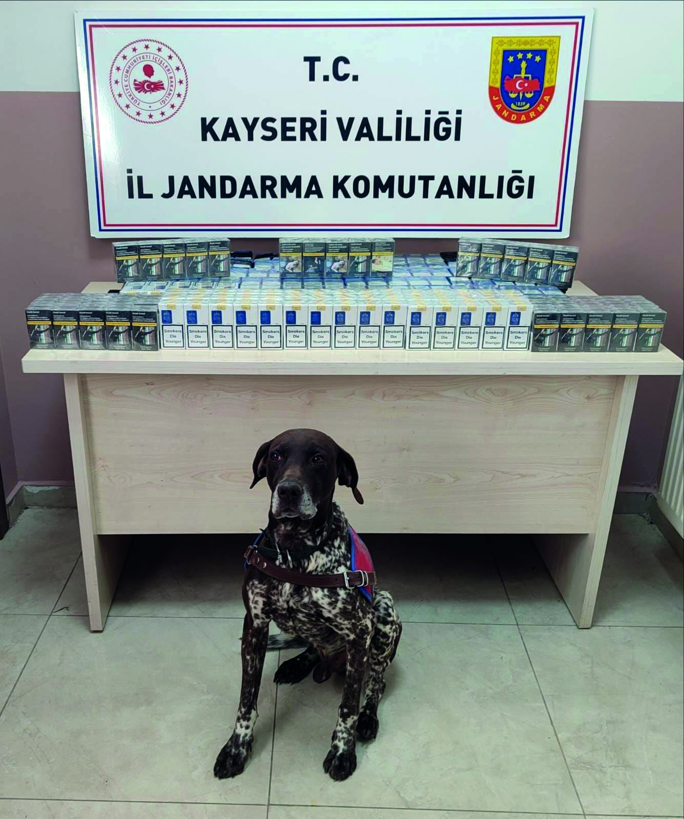 Kaçak Sigara Operasyonu: 640 Paket Ele Geçirildi