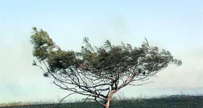 Malatya’da iklim krizi kapıda