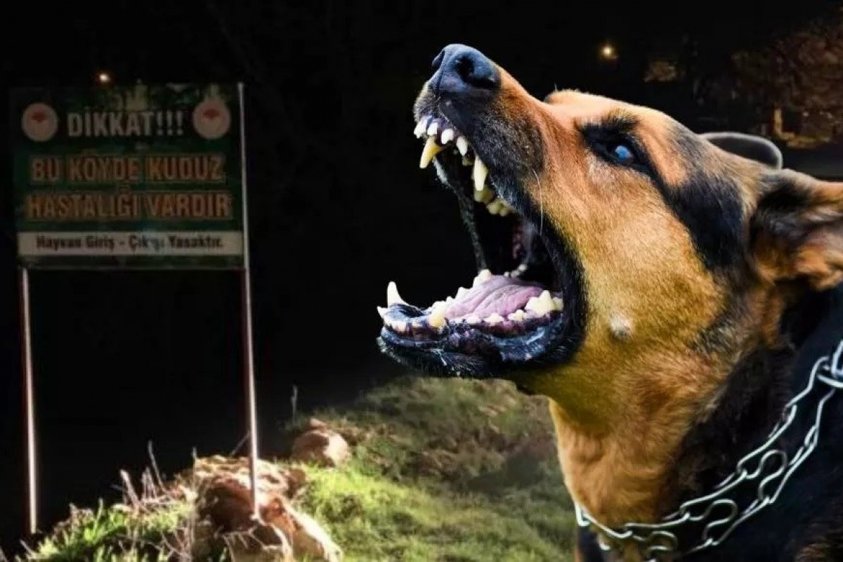  İlk 15 dakika hayat kurtarıyor!