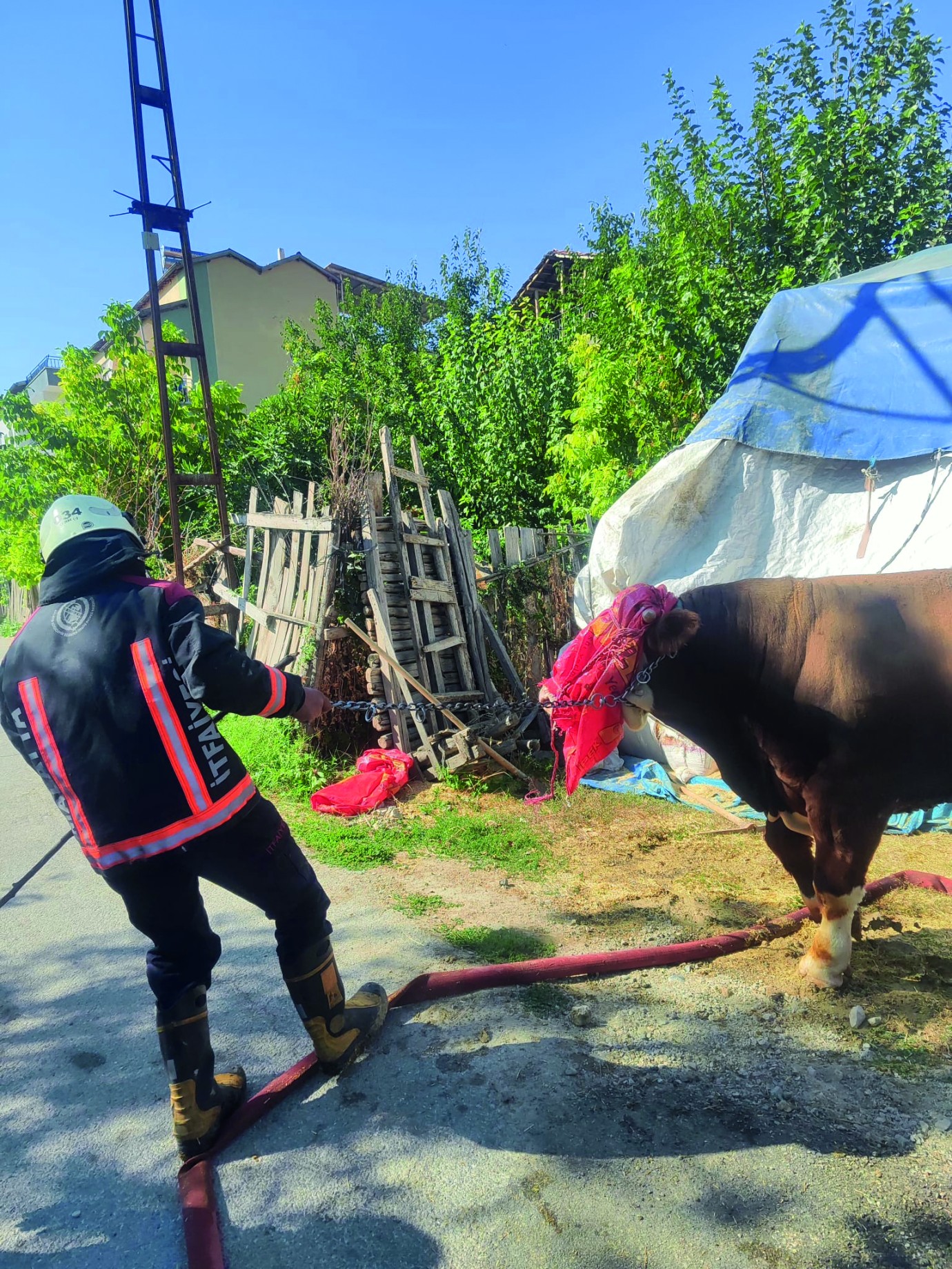 Ahır yangını: 8 büyükbaş hayvan kurtarıldı