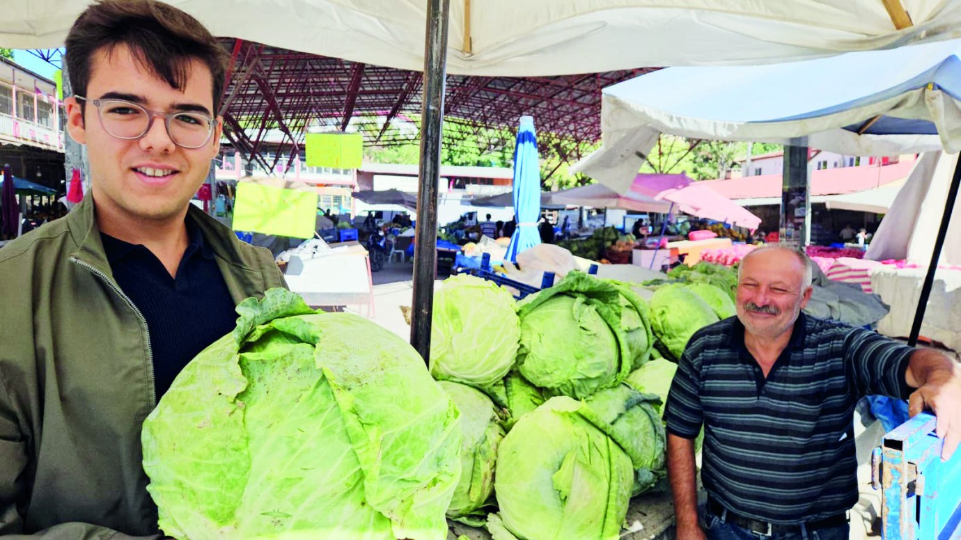Lahanada hasat zamanı