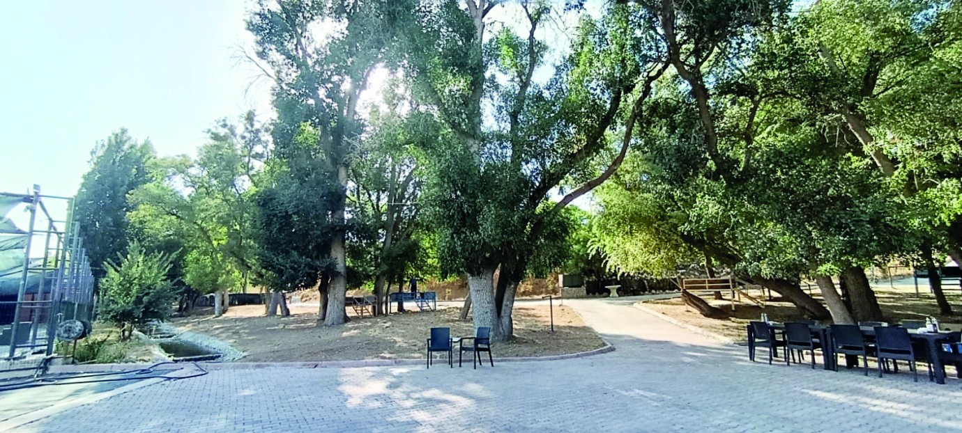 Akçadağ Belediyesi’nden Sultansuyu’na Sosyal Tesis atağı