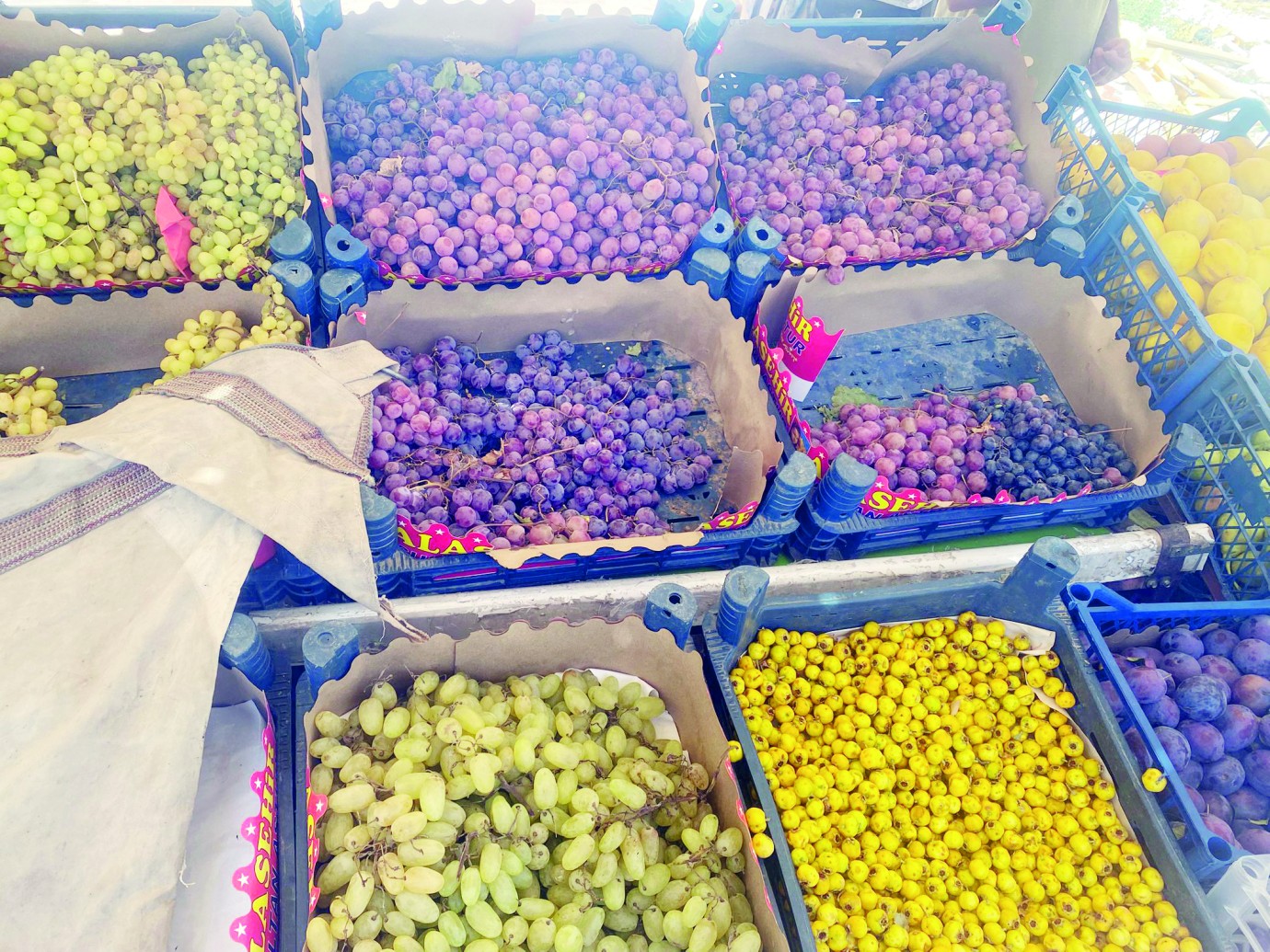 Meyve fiyatları cep yakıyor