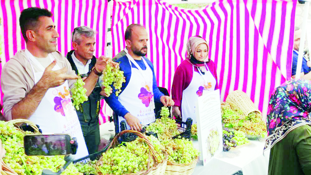 Gercüş’te 4. Bağ Bozumu ve Gastronomi Festivali