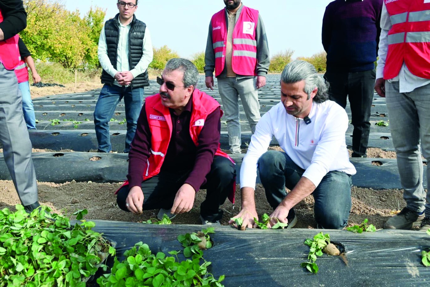 Kızılay destekli çilek üretimi projesi başladı