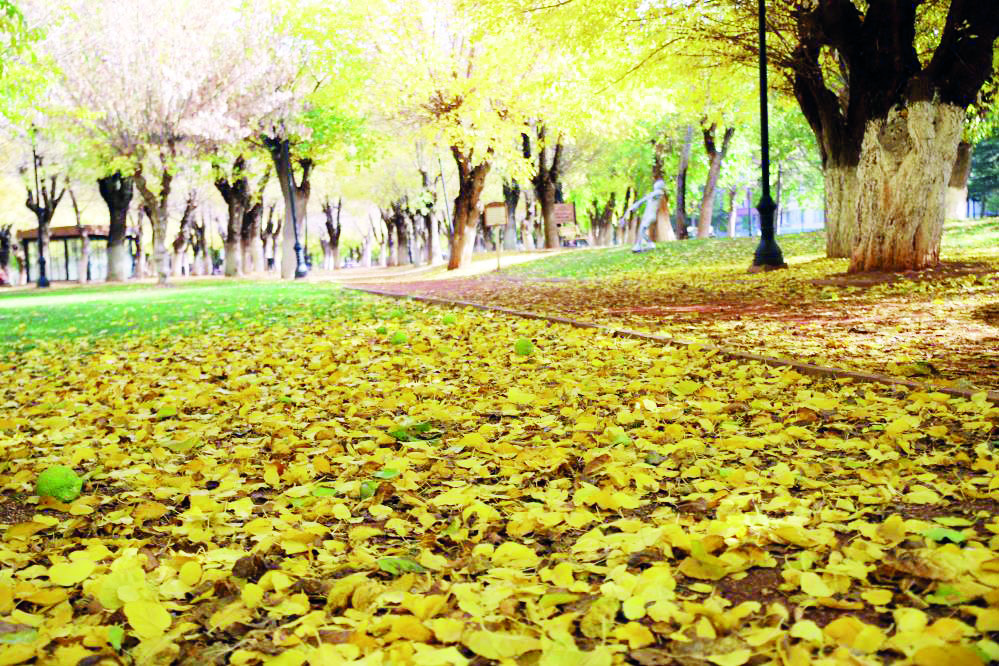 Gaziantep'teki parklar sonbahar renklerine büründü
