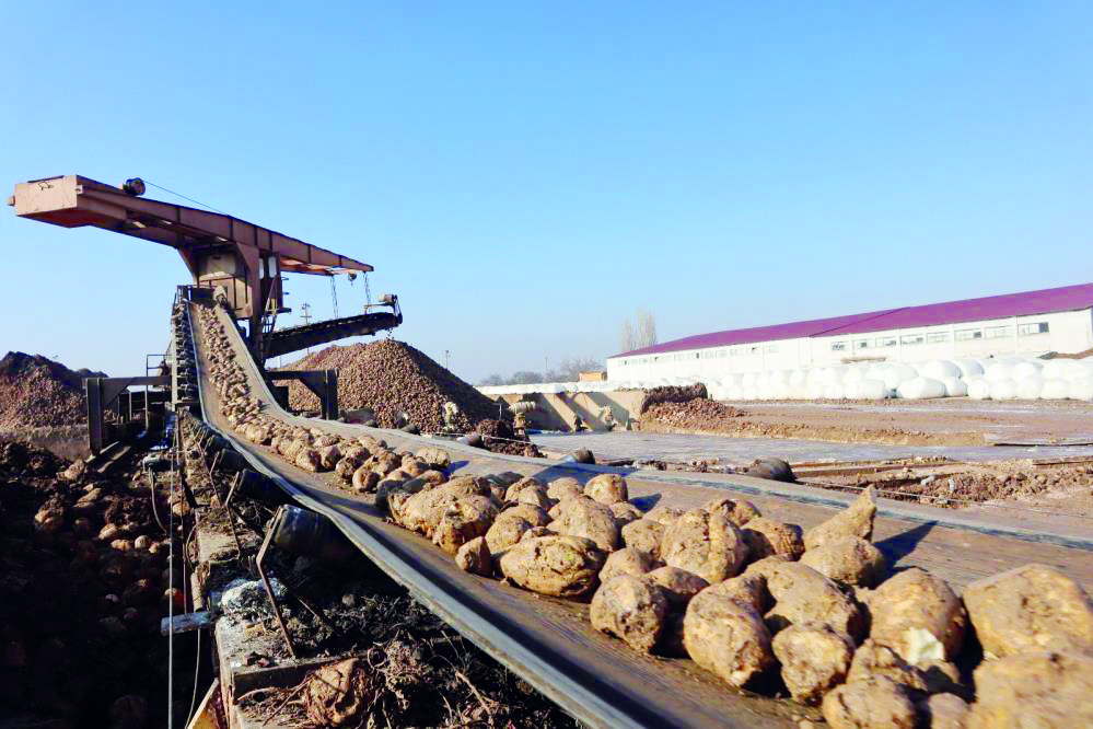 Pancar ekimi için geri sayım başladı 
