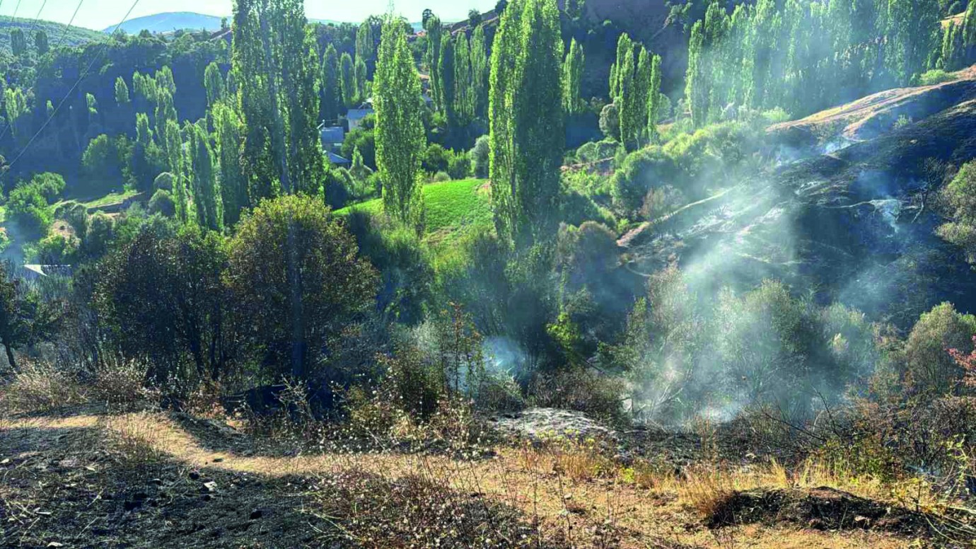 Hadino ormanları büyülüyor