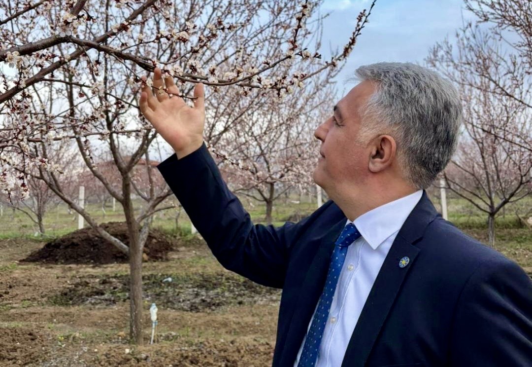 Dolu Afeti Malatya’da Tarımı Vurdu
