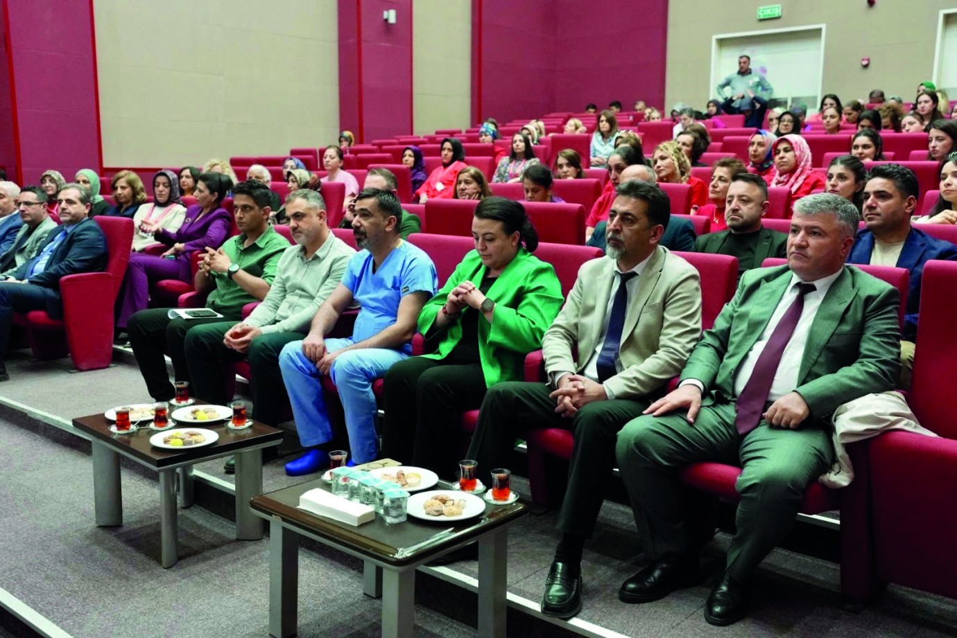Ebeler Sağlık Sisteminin Vazgeçilmez Gücü
