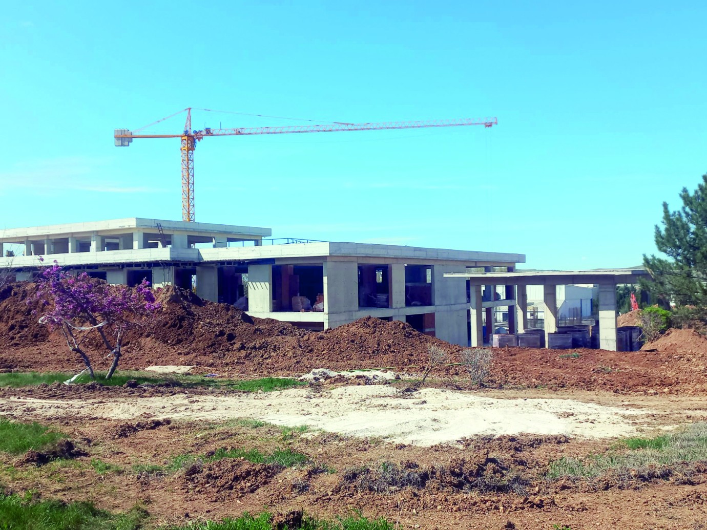 Deprem Sonrası Kampüste Umut Veren Proje 