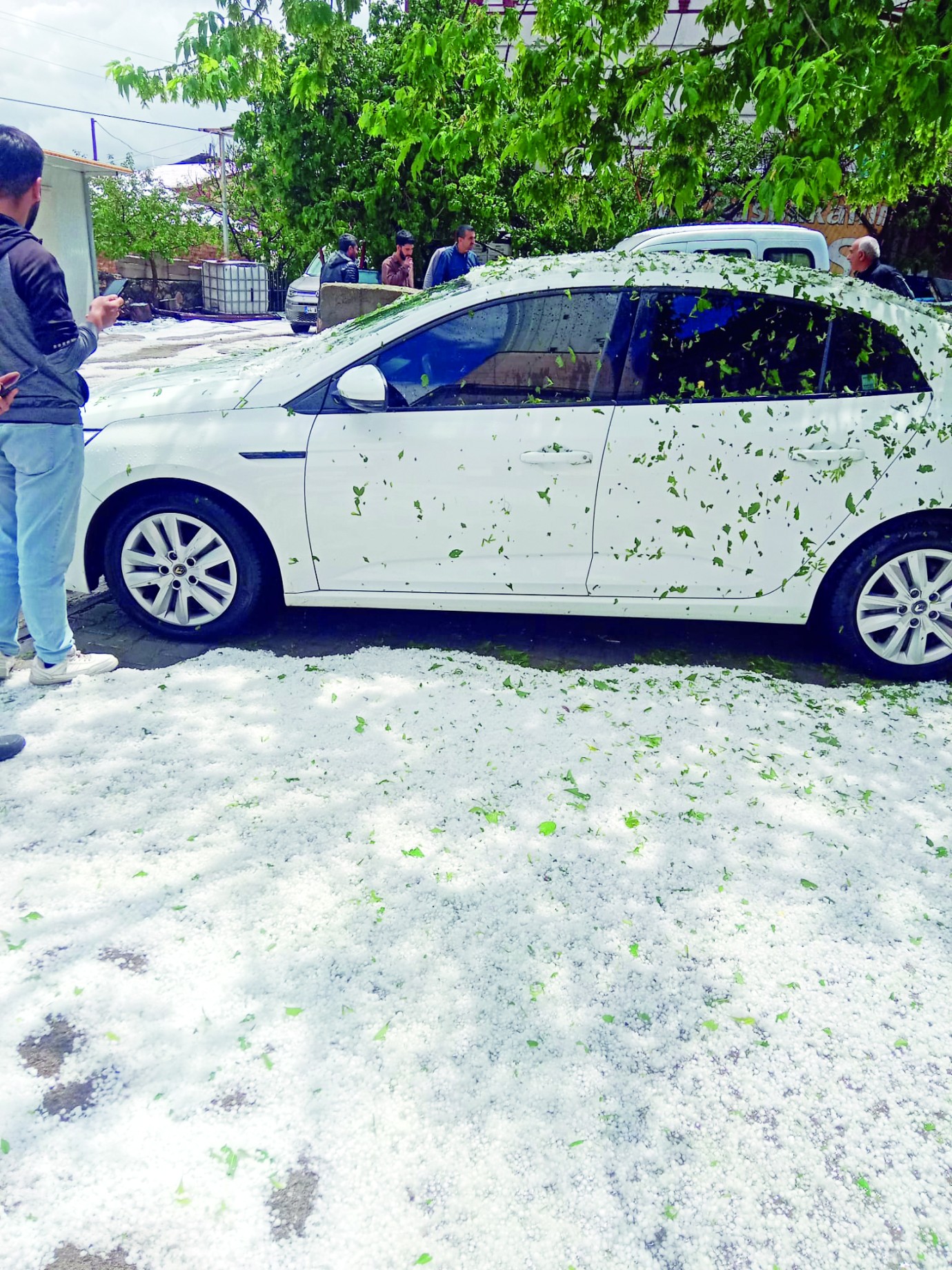 Malatya’da dolu yağışı etkili oldu çiftçiler kayısı için endişeli