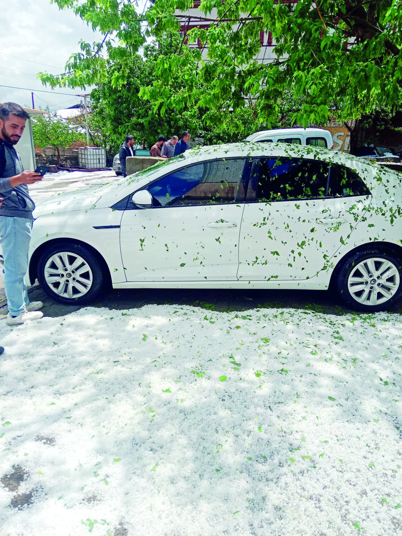 Malatya’da dolu yağışı etkili oldu çiftçiler kayısı için endişeli