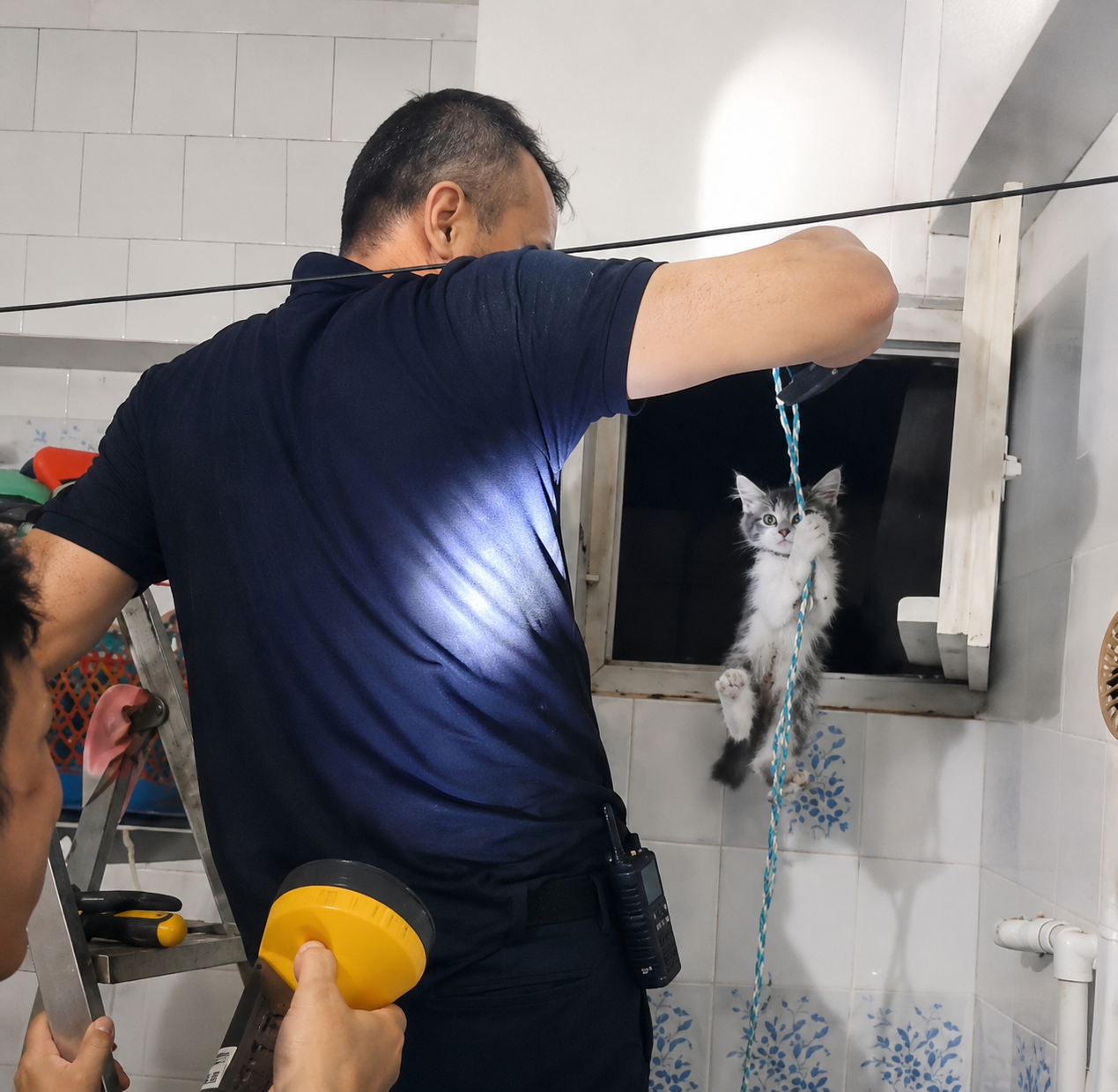 Battalgazi’de mahsur kalan yavru kedi itfaiye ekiplerince kurtarıldı
