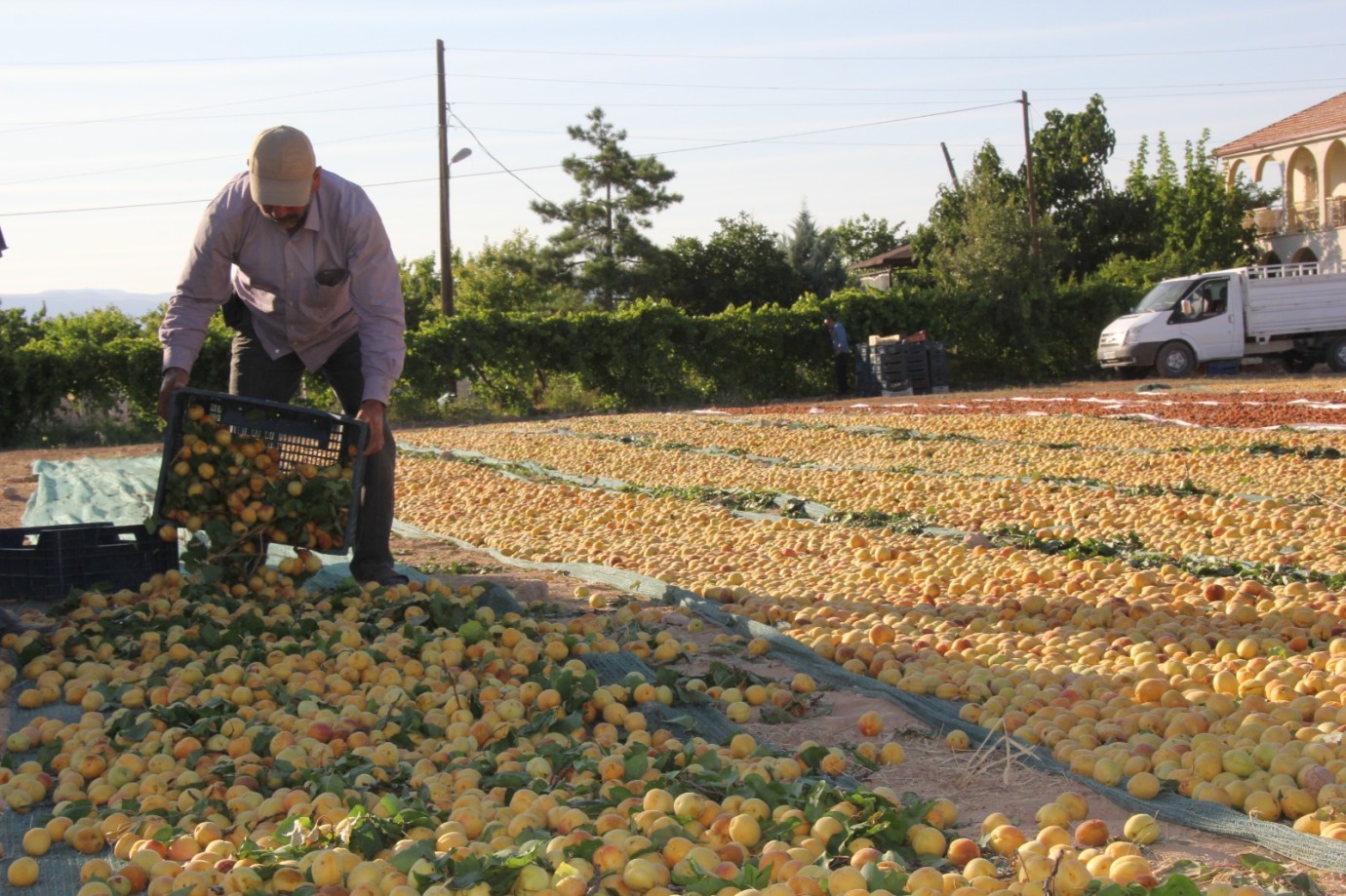 Malatya’da mevsimlik işçiler için yeni barınma planı
